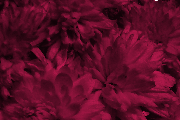 Back Ground Design Colors / Images
