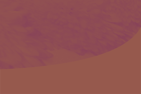 Back Ground Design Colors / Images