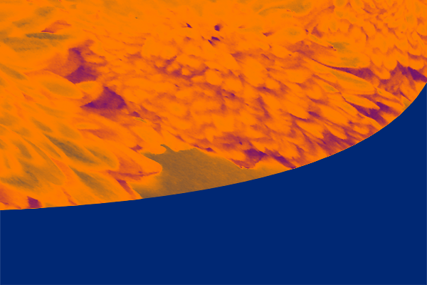 Back Ground Design Colors / Images