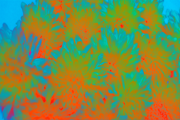 Back Ground Design Colors / Images