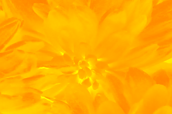 Back Ground Design Colors / Images