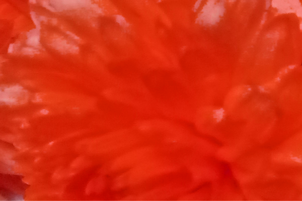 Back Ground Design Colors / Images