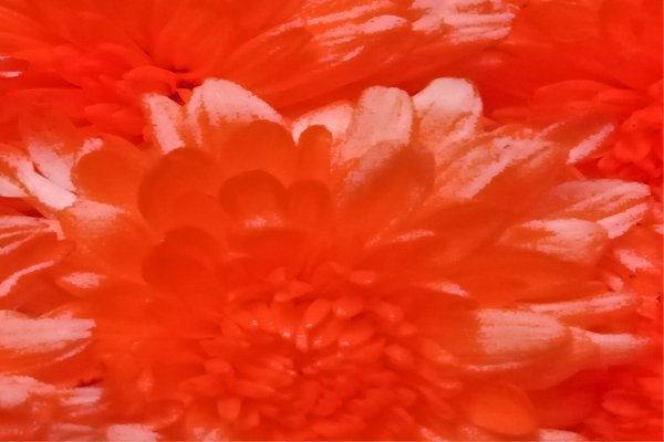 Back Ground Design Colors / Images