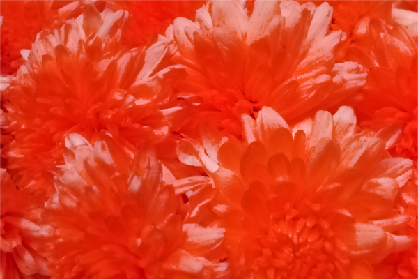 Back Ground Design Colors / Images