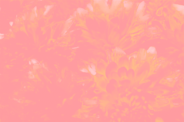 Back Ground Design Colors / Images