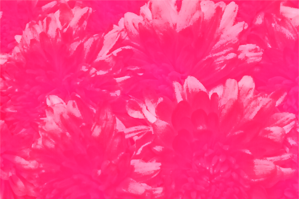 Back Ground Design Colors / Images