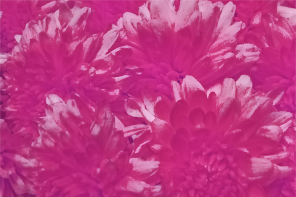 Back Ground Design Colors / Images