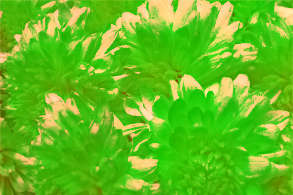 Back Ground Design Colors / Images