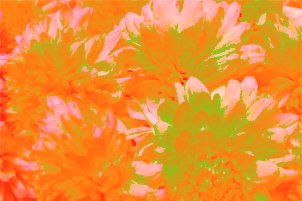 Back Ground Design Colors / Images