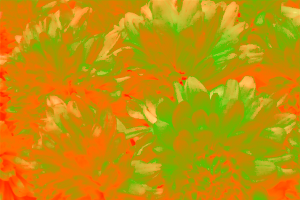Back Ground Design Colors / Images