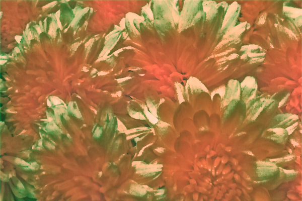 Back Ground Design Colors / Images