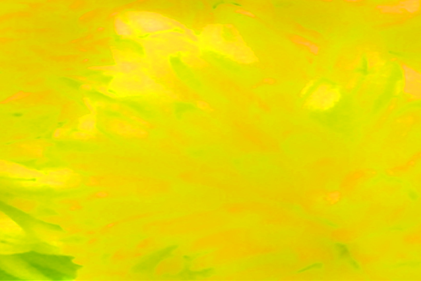 Back Ground Design Colors / Images