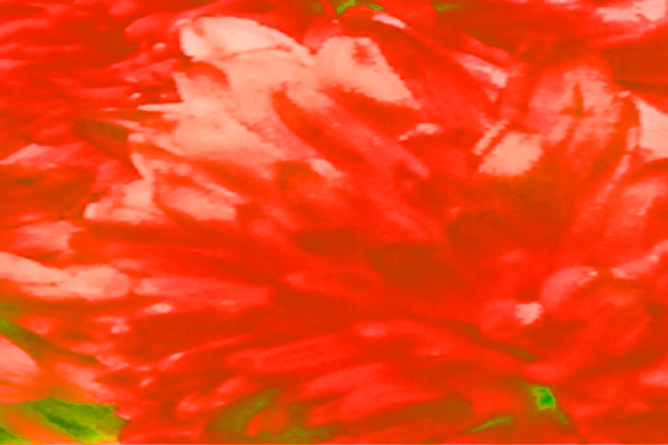 Back Ground Design Colors / Images