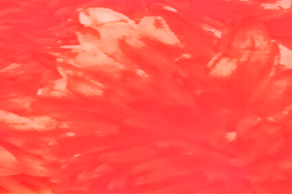 Back Ground Design Colors / Images