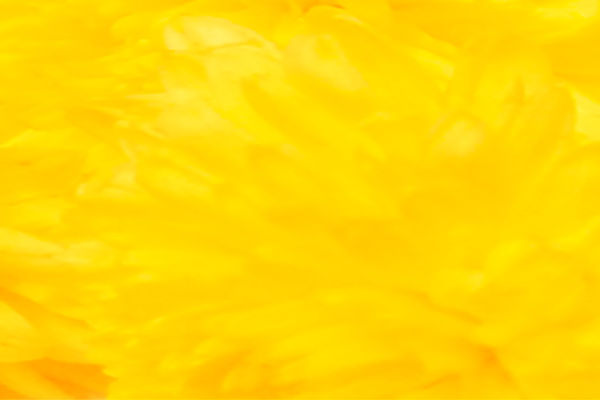 Back Ground Design Colors / Images