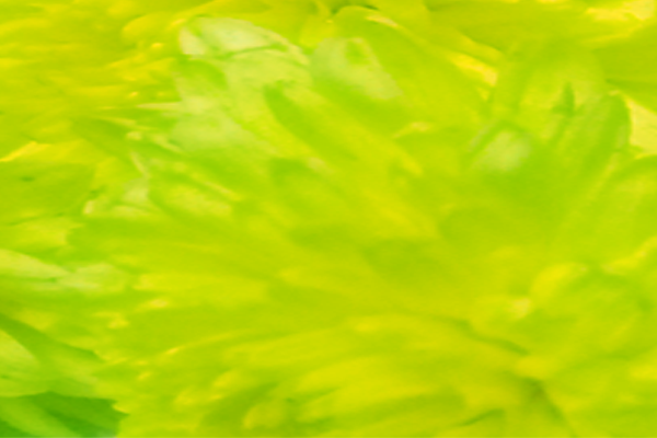 Back Ground Design Colors / Images