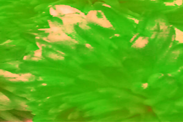 Back Ground Design Colors / Images