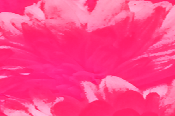 Back Ground Design Colors / Images