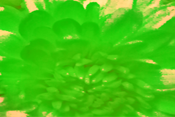 Back Ground Design Colors / Images