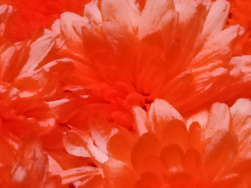 Back Ground Design Colors / Images