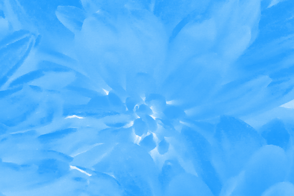 Back Ground Design Colors / Images