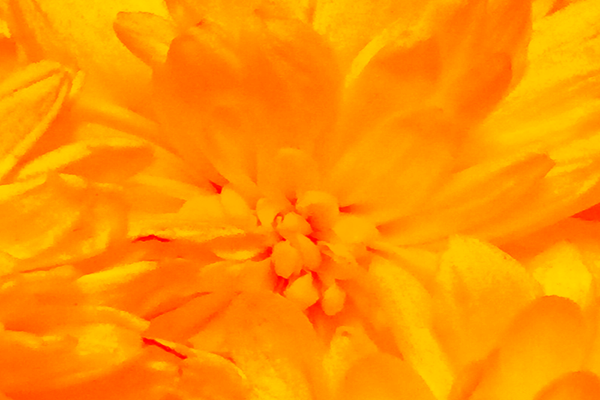 Back Ground Design Colors / Images