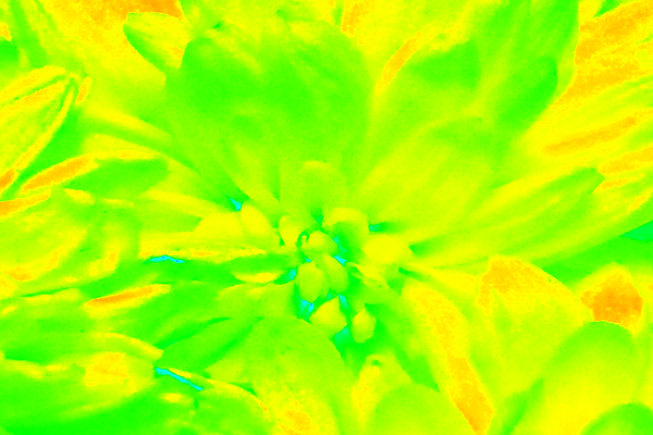 Back Ground Design Colors / Images