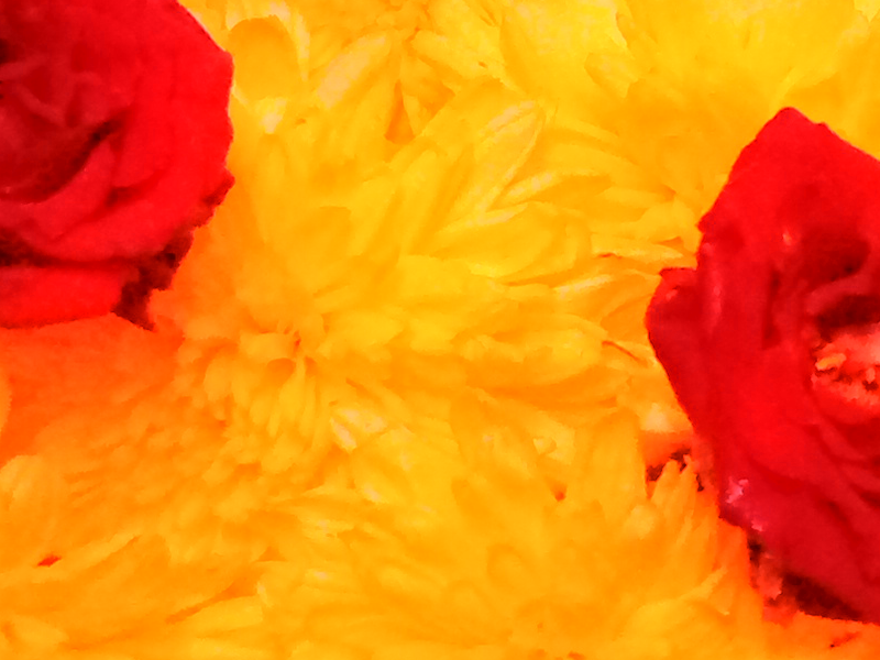 Back Ground Design Colors / Images