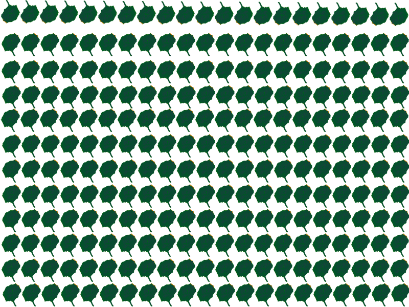 Border images / lines / design / pictures / background colors / background pictures 