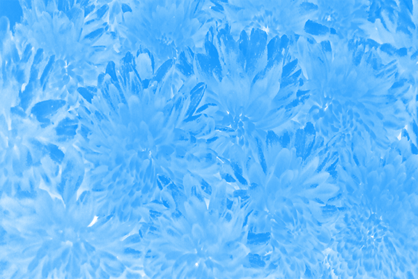 Back Ground Design Colors / Images