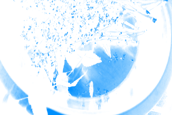 Back Ground Design Colors / Images