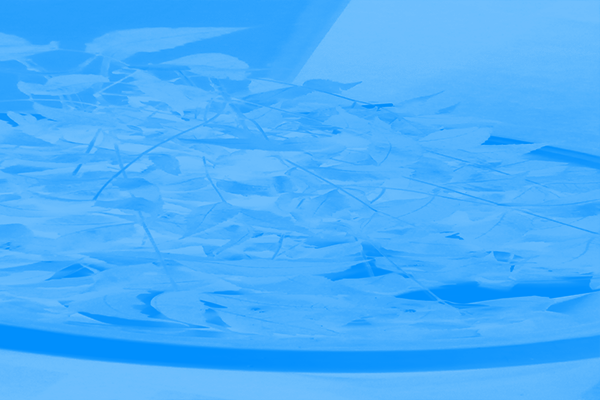 Back Ground Design Colors / Images