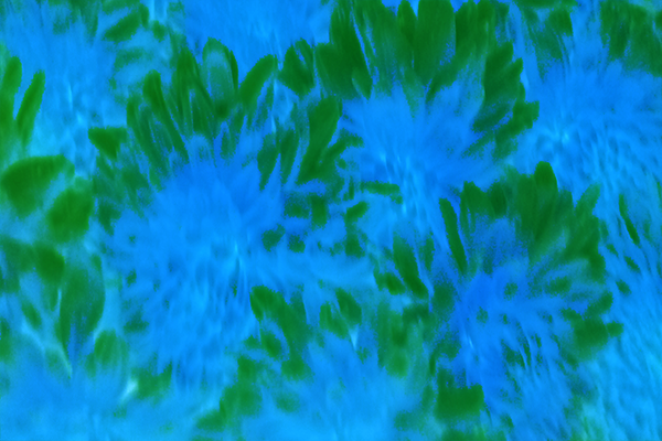 Back Ground Design Colors / Images