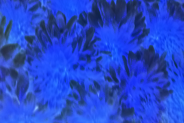 Back Ground Design Colors / Images