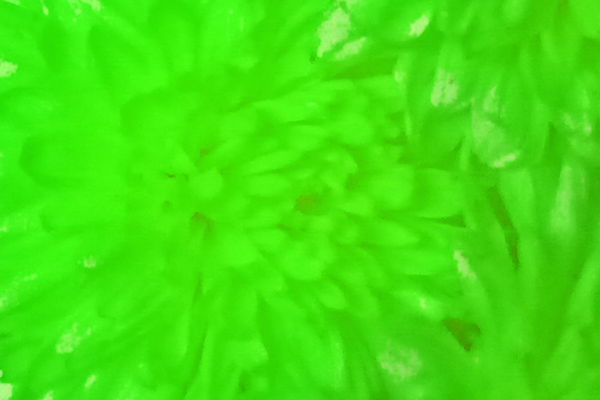Back Ground Design Colors / Images