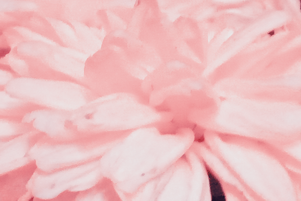 Back Ground Design Colors / Images