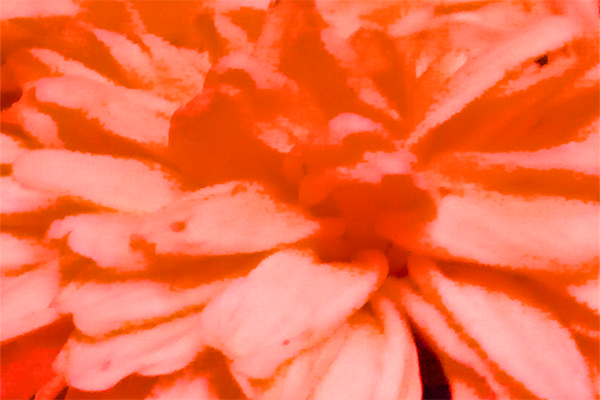 Back Ground Design Colors / Images