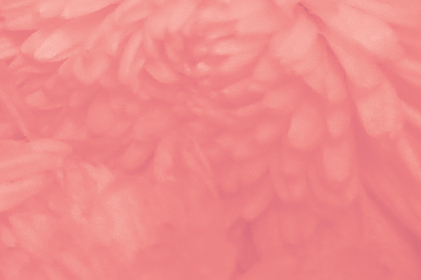 Back Ground Design Colors / Images