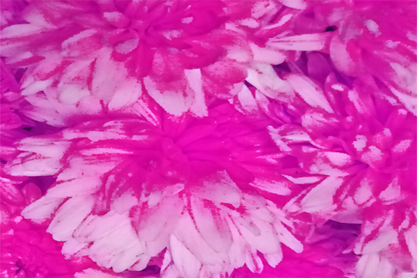 Back Ground Design Colors / Images