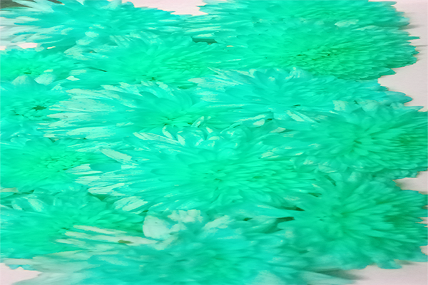 Back Ground Design Colors / Images