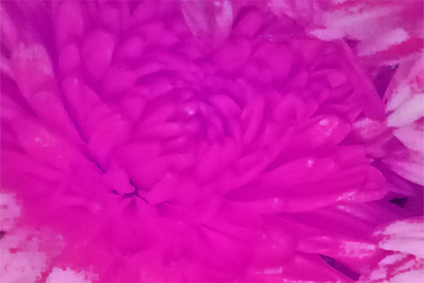 Back Ground Design Colors / Images