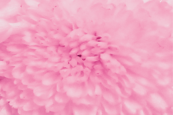 Back Ground Design Colors / Images