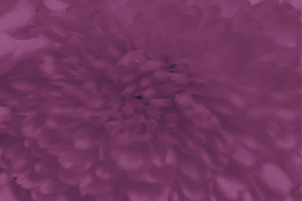 Back Ground Design Colors / Images