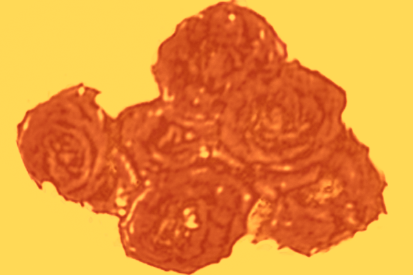 Back Ground Design Colors / Images
