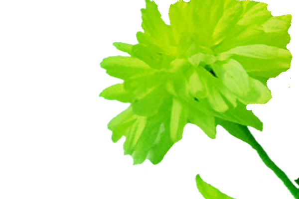 Back Ground Design Colors / Images