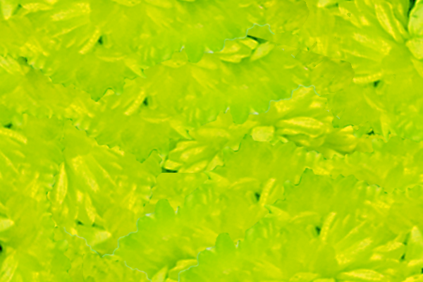 Back Ground Design Colors / Images