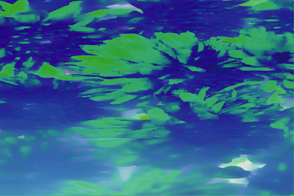 Back Ground Design Colors / Images