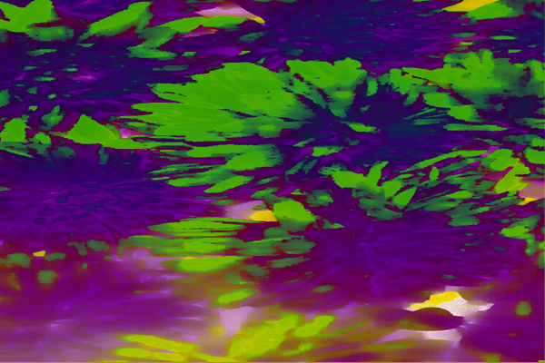 Back Ground Design Colors / Images