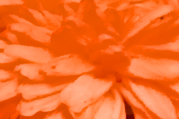 Back Ground Design Colors / Images