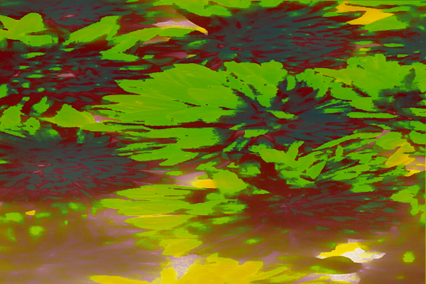 Back Ground Design Colors / Images